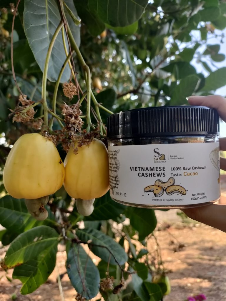 Hạt Điều Giàu Dinh Dưỡng Nên Được Sử Dụng Rộng Rãi Hiện Nay