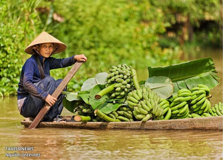 Xuất Khẩu Trung Quốc Bền Vững Cho Nông Sản Việt